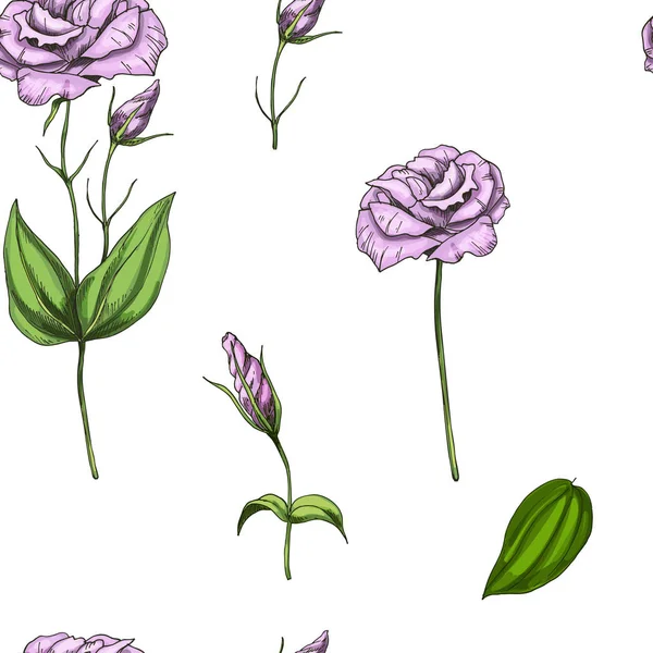Padrão sem costura com suavemente rosa rosa flor isolada no fundo branco. Ilustração vetorial . — Vetor de Stock