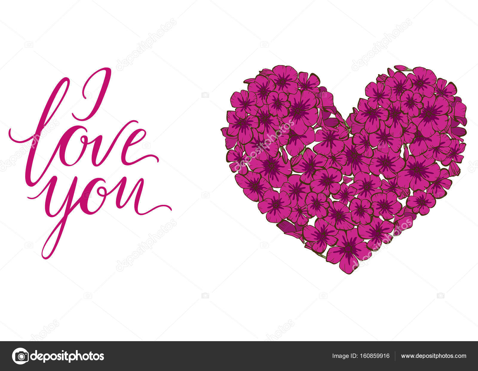Coeur De Fleurs Rose Phlox Isolé Sur Fond Blanc Et Lettrage