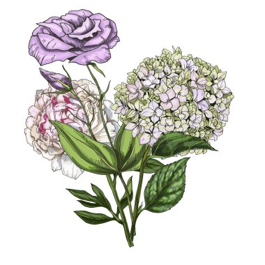 Elle çizilmiş buket beyaz arka plan üzerinde izole phlox, eustoma ve Şakayık. Botanik vektör çizim.