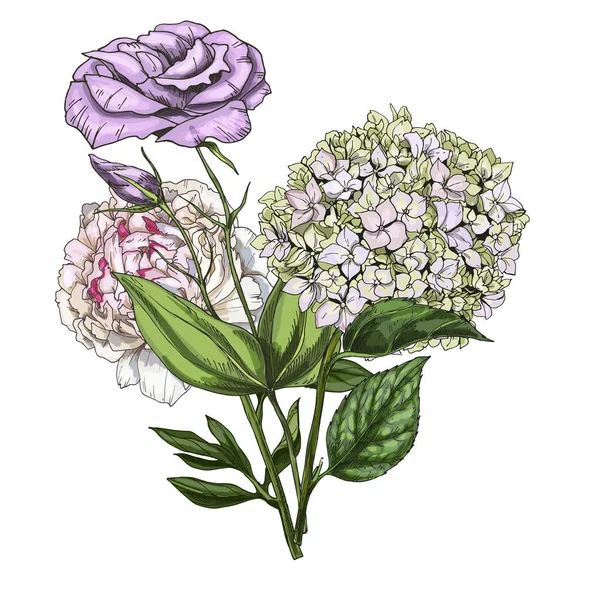 Ramo dibujado a mano de flores de flox, eustoma y peonía aisladas sobre fondo blanco. Ilustración del vector botánico . — Vector de stock