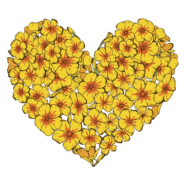 Hart van gele phlox bloemen geïsoleerd op witte achtergrond. Vectorillustratie. — Stockvector