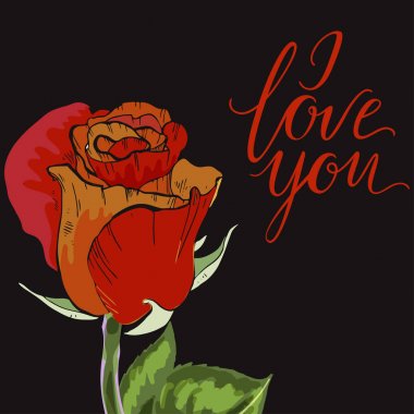 Yakın çekim kırmızı ve turuncu bud siyah arka plan üzerine yükseldi. Yazı seviyorum. Botanik vektör çizim