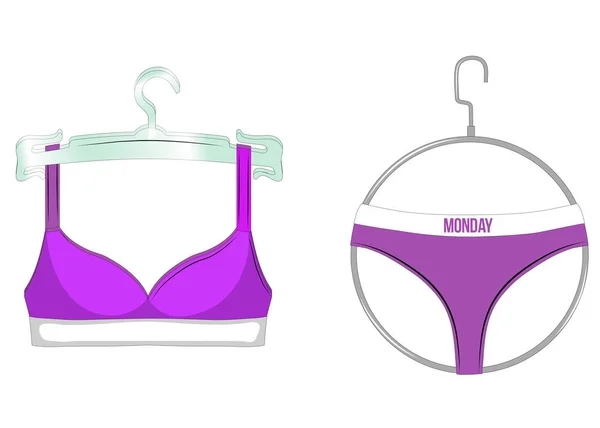 Sujetador violeta y bragas en una percha. Ropa interior sexy femenina aislada sobre fondo blanco. Ilustración vectorial . — Archivo Imágenes Vectoriales