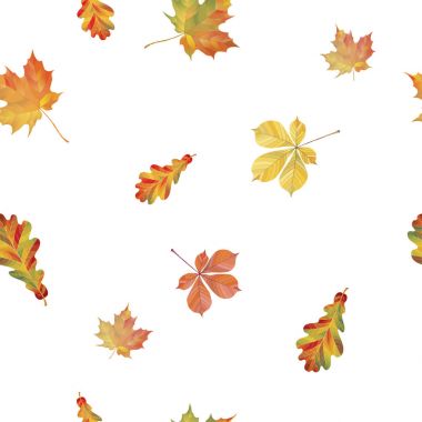 Seamless pattern with different autumn leaves. Oak, chestnut and maple leaves isolated on white background. Vector Illustration clipart
