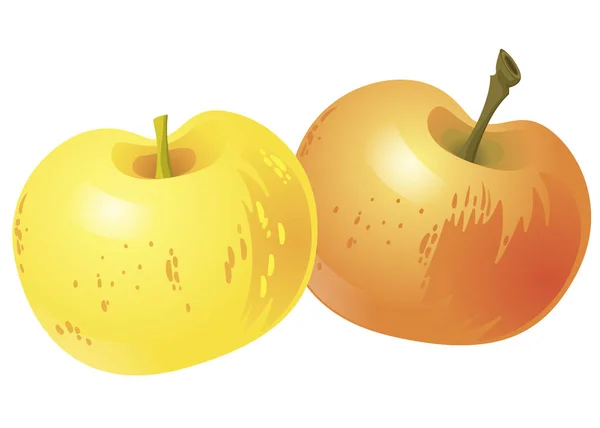 Dos manzanas amarillas aisladas sobre fondo blanco. Ilustración vectorial — Vector de stock