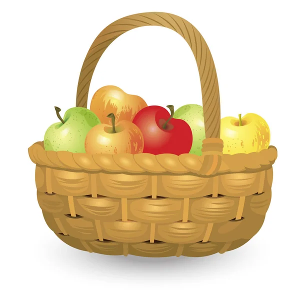 Wicker basket full of apples isolated on white background. Vector Illustration — Stock Vector