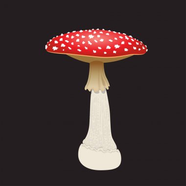 Siyah arka plan üzerine izole sinek agaric mantar. Vektör çizim