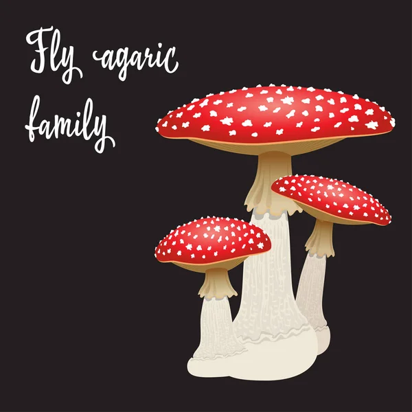 Three fly agaric mushrooms isolated on black background. Vector Illustration — Stock Vector