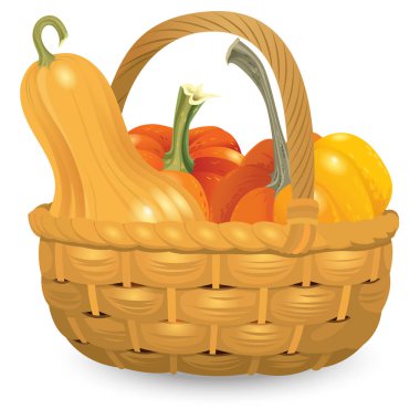 Hasır sepet tam balkabağı beyaz arka plan üzerinde izole. Vektör çizim