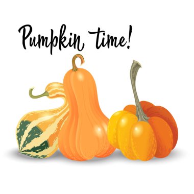Three different pumpkin isolated on white background. Vector Illustration clipart