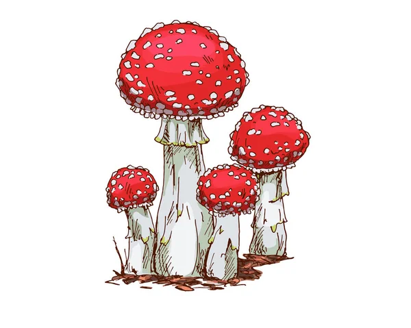 Rodina z Muchomůrka houby izolované na bílém pozadí. Vektorové ilustrace — Stockový vektor
