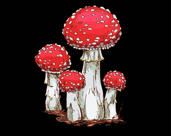Família de cogumelos agáricos de mosca isolados em fundo branco. Ilustração vetorial — Vetor de Stock