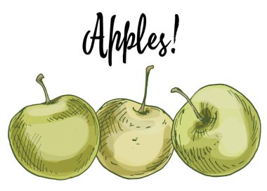 Beyaz arka plan üzerinde izole üç lezzetli yeşil elma. Vektör çizim