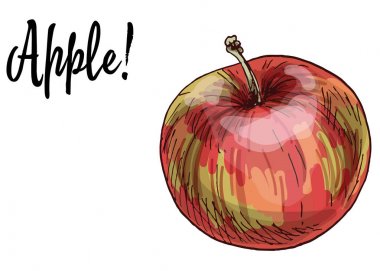 Beyaz arka planda izole edilmiş olgun, lezzetli kırmızı elmalar. Vektör İllüstrasyonu