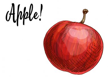 Beyaz arka planda izole edilmiş olgun, lezzetli kırmızı elmalar. Vektör İllüstrasyonu