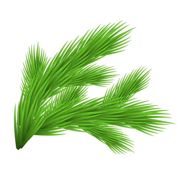緑豊かなトウヒの枝。白いベクトル図上に隔離 — ストックベクタ