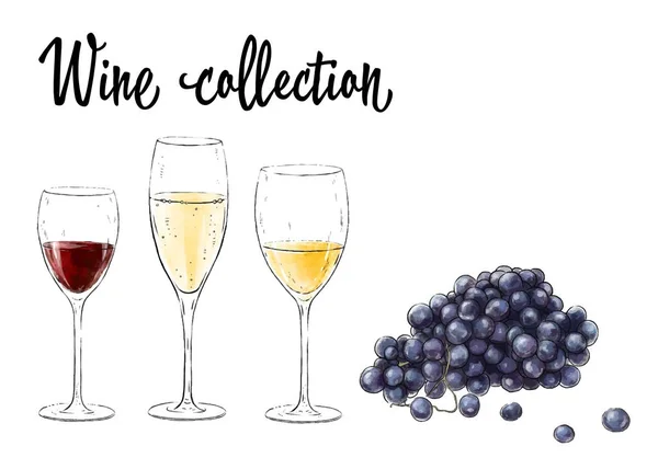 Tres copas de vino y racimo de uva aisladas sobre fondo blanco. Colección de vinos. Ilustración vectorial . — Vector de stock