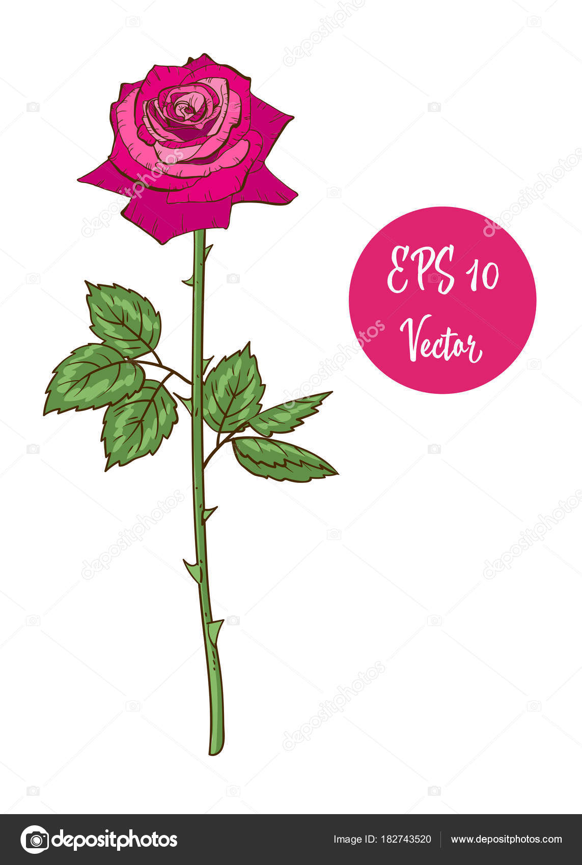 rose bud asian dating website Where are all the singles in asia dateinasiacom is a free asian dating site meet singles online today. rose bud asian dating website Where are all the singles in asia dateinasiacom is a free asian dating site meet singles online today.