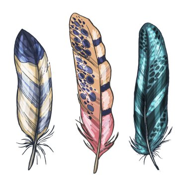 Beyaz arka planda izole edilmiş renkli, detaylı kuş tüyleri. Vektör illüstrasyonu.
