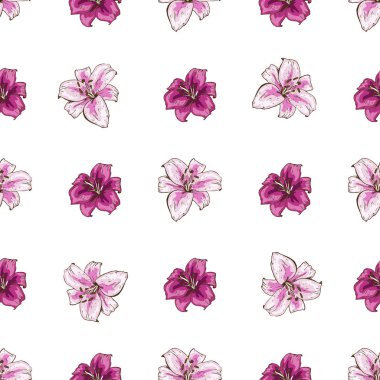 Beyaz arka plan üzerinde pembe lilyum çiçek ile Seamless modeli. Düğün davetiyeleri ve tebrik kartı tasarımı için çiçek çiçek açan vektör kümesi.