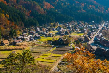 Üstten Görünüm noktası Güz shirakawago Köyü.
