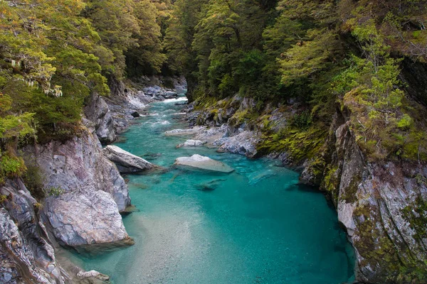 Błękitne baseny, Przełęcz Haast, Nowa Zelandia. — Zdjęcie stockowe