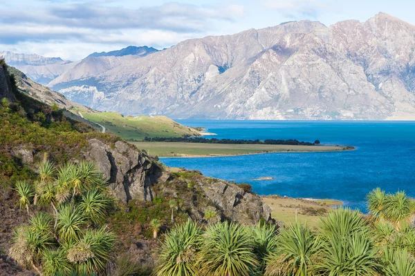 Beau lac bleu Hawea — Photo