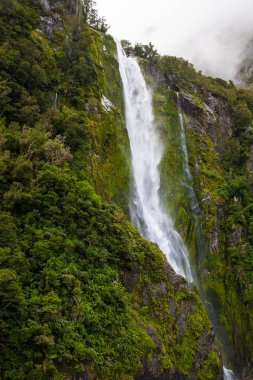 Güzel Majestic Stirling Falls adlı Milford ses, Fiordland Milli Parkı, South Island, Yeni Zelanda