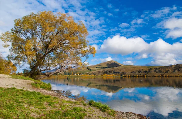 Autumn leaves at reflection Lake Hayes, South Island, New Zealand — Stock Photo, Image