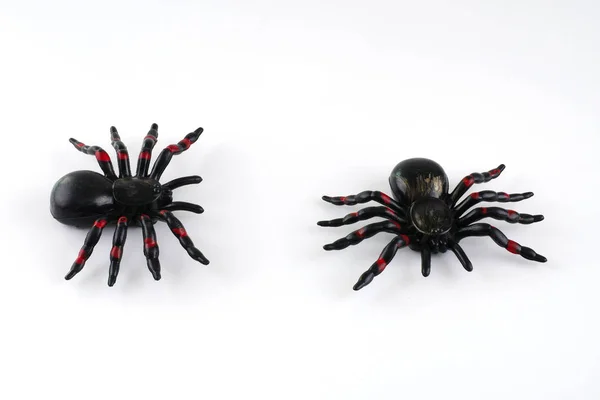 Aranha de brinquedo para decoração halloween isolado no fundo branco Fotografia De Stock