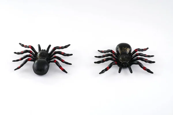 Aranha de brinquedo para decoração halloween isolado no fundo branco Imagem De Stock