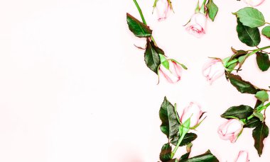 Gül çerçevesinden, düz yatıyordu.