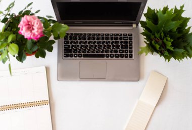 İşyeri dizüstü, günlüğü, gül ve ahşap Resepsiyon. Düz yatıyordu