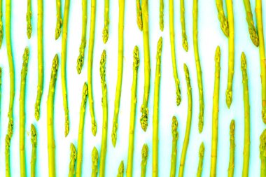 Taze yeşil kuşkonmaz desen, üstten görünüm. Gıda arka plan kuşkonmaz lay düz desen