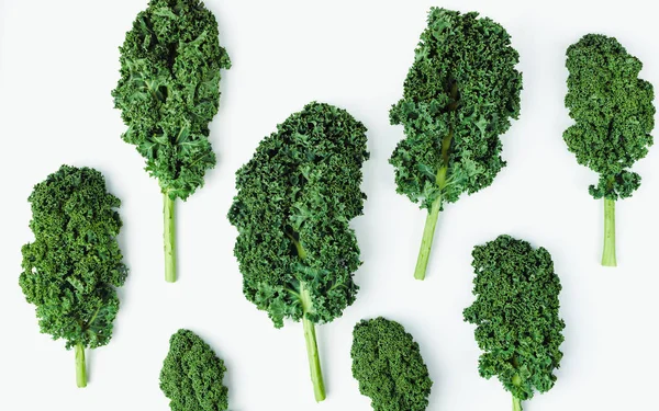 Δημιουργική διάταξη από σγουρό φύλλο kale σε πολύχρωμο φόντο. Επίπεδη. Έννοια τροφίμων. — Φωτογραφία Αρχείου