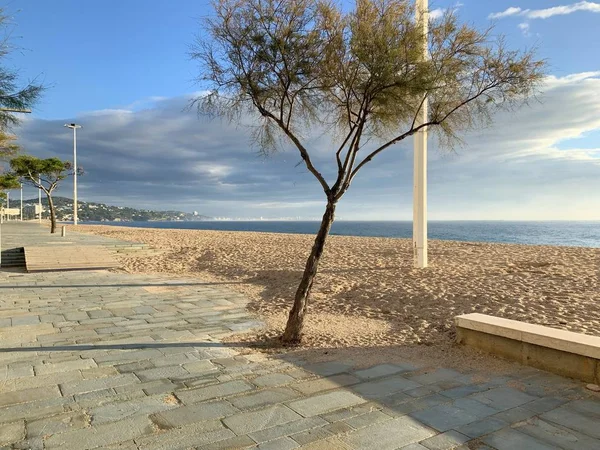 Nádherné ráno na promenádě ve městě Platja d 'Aro, provincie Girona, Katalánsko, Španělsko. Promenáda, strom, slunce, moře, čerstvý vzduch, harmonie. — Stock fotografie