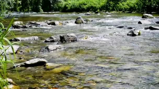 Jarní řeka ve městě tekoucí mezi skalami, Freiburg Německo, zpomalený pohyb — Stock video
