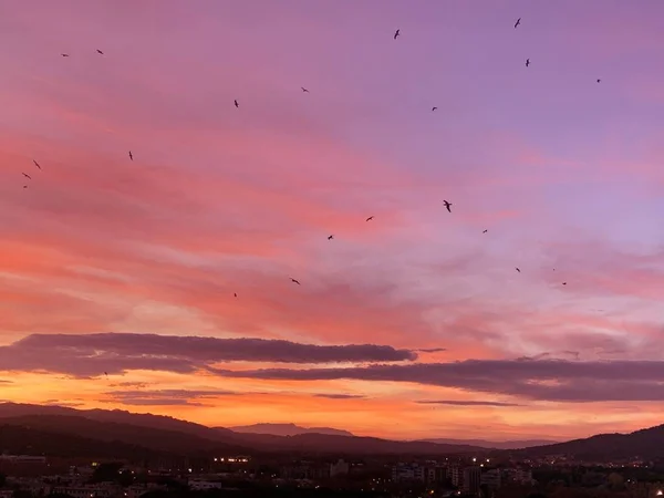 Catalonia sunset sky Spain, clouds, seagulls, mountains, autumn — Stock Photo, Image