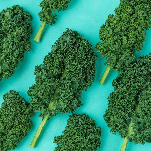 Kalegreen blad lockigt grönkål, mönster, ovanifrån, platt låg — Stockfoto