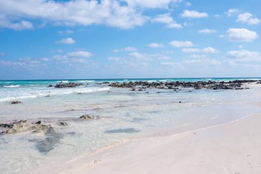 Atlantik Okyanusu 'nun dalgalı suları Corralejo