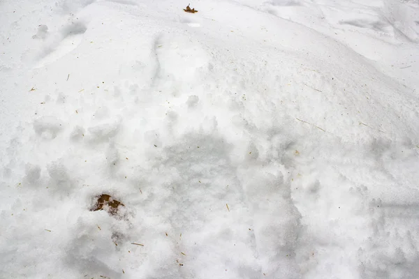 Giorno Dopo Nevicata Con Dettaglio Ghiaccio Sul Pavimento — Foto Stock