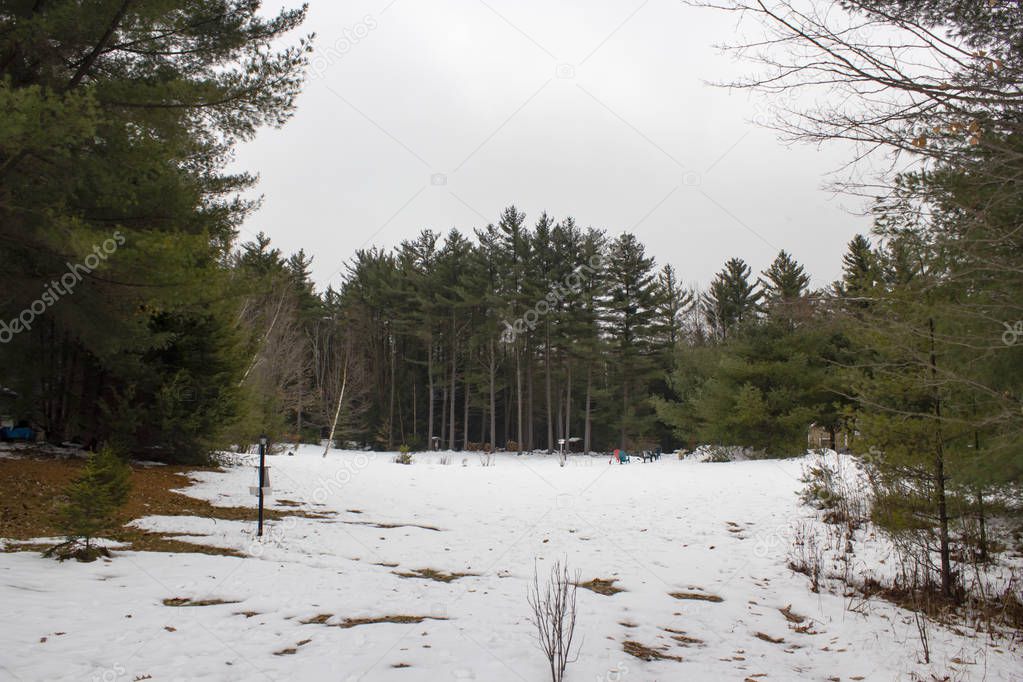 Snowfall on Lake George