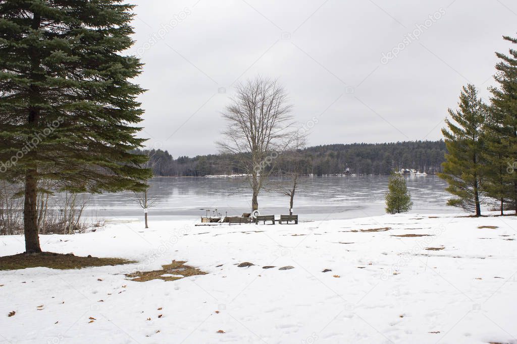 Bucolic landscape with trees and frozen lake at background