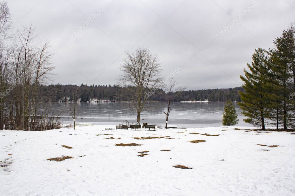 Bucolic landscape with frozen lake at background and trees