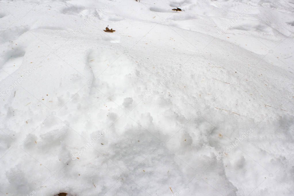 Detail of the ice on the floor