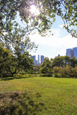 Central Park, Manhattan 'da güneşli bir gün. New York
