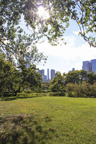 Solig Dag Central Park Manhattan New York — Stockfoto