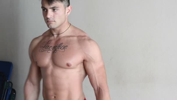 Musculoso joven ejercitando bíceps con mancuernas — Vídeos de Stock