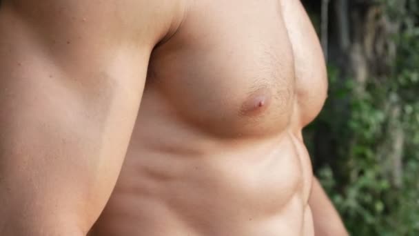 Chest of unrecognizable muscular young man — Stock Video
