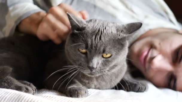 회색 고양이 애완 동물을 껴안고 있는 매력적 인 청년 — 비디오